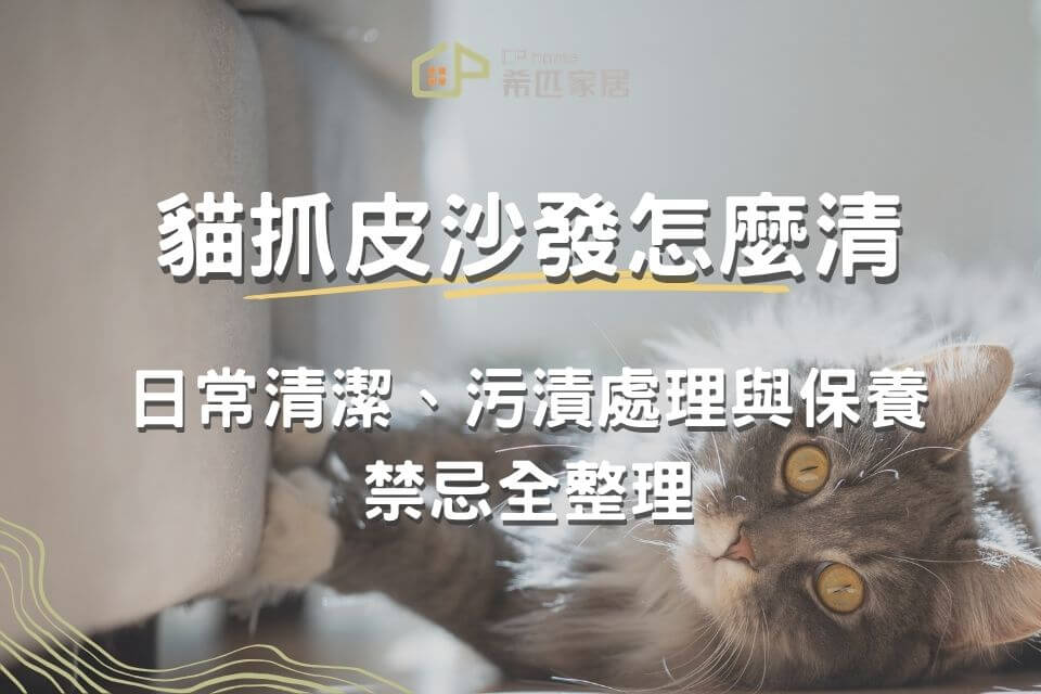 貓抓皮沙發清潔怎麼做？日常清潔、污漬處理與保養禁忌全整理